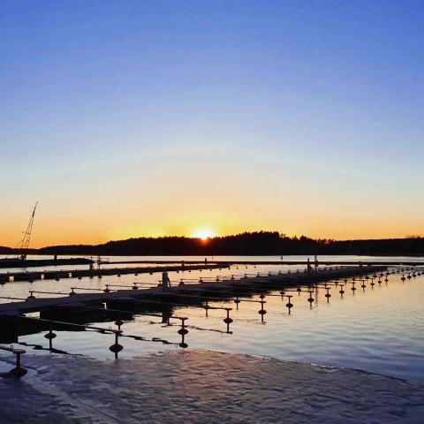 💙Tietoisuus - hyvä ja paha💙

"Maailmassa hyvä ja paha sekoittuvat niin, että on vaikea nähdä, mikä on mitäkin. Tietois...