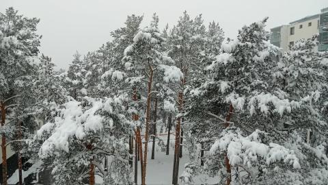 Huonot uutiset: talvi on päättänyt jäädä vielä hetkeksi. Hyvät uutiset: meillä on uuni ja pannu kuumana, tarjolla lämmintä juotavaa ja syötävää. 😘❤️☕️ Pian on kesä, maltetaan vielä hetki, rakas Turku