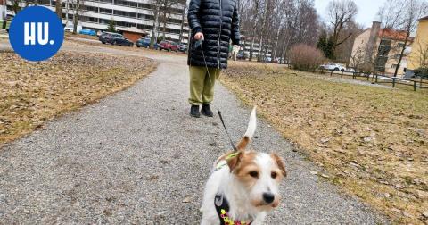 Pitäisikö tämä puisto Helsingissä nimetä Ele Aleniuksen mukaan? – HU selvitti tarinoita tuttujen kadunnimien takana