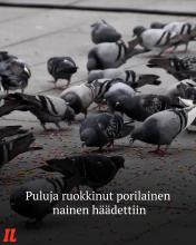 Kahdeksankymppinen porilaisnainen ruokki puluja vuokra-asuntonsa pihamaalla, aiheuttaen pahennusta naapurustossa.⁠
⁠
Luv...