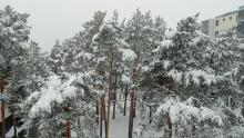 Huonot uutiset: talvi on päättänyt jäädä vielä hetkeksi. Hyvät uutiset: meillä on uuni ja pannu kuumana, tarjolla lämmintä juotavaa ja syötävää. 😘❤️☕️ Pian on kesä, maltetaan vielä hetki, rakas Turku