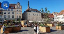 T24 | Vanhankaupungin suosittu kesäpuisto uudistetaan Tallinnassa