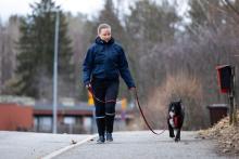 Riikka Nykvistin koira karkasi Joensuussa valjaista kotipihalla lenkille lähdettäessä.

Kolme viikkoa myöhemmin Santeri ...